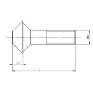 Catch screw, type K20 M12x54